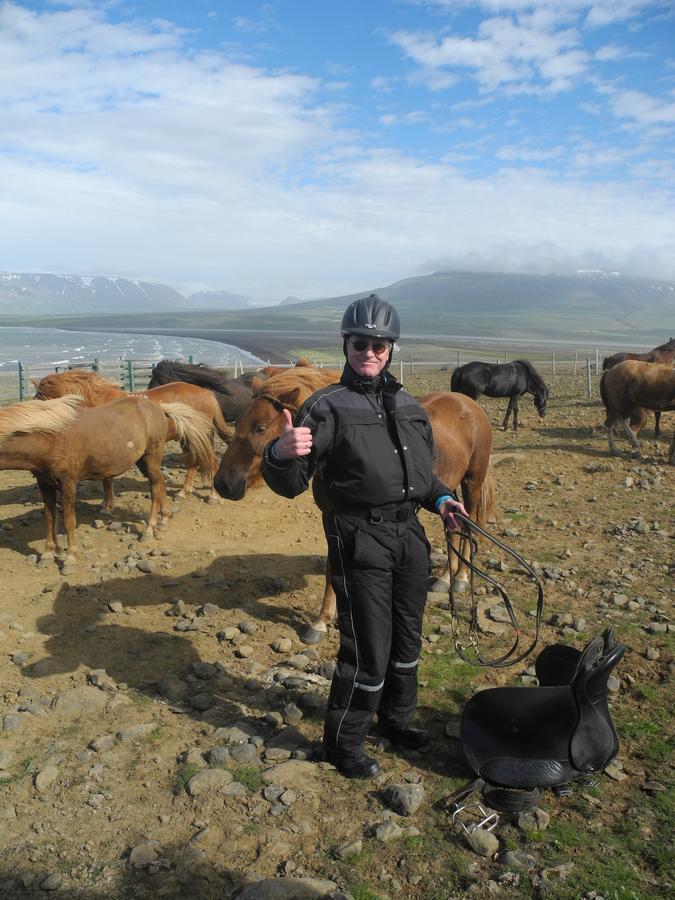 Icelandhorsetours - Helluland Saudarkrokur エクステリア 写真