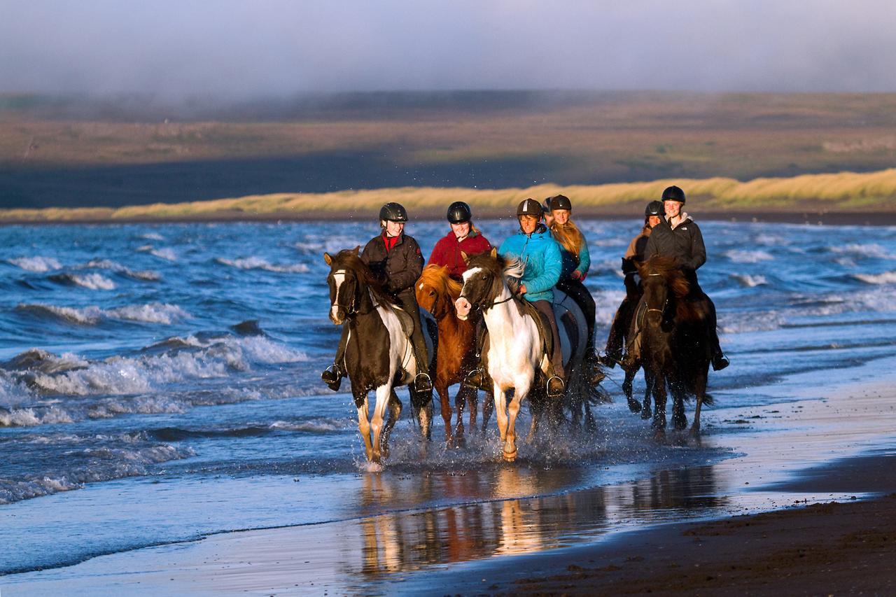 Icelandhorsetours - Helluland Saudarkrokur エクステリア 写真
