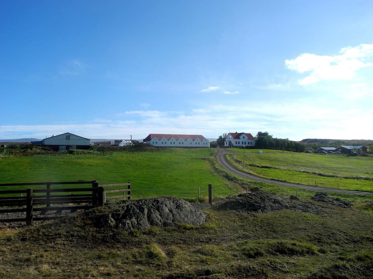 Icelandhorsetours - Helluland Saudarkrokur エクステリア 写真