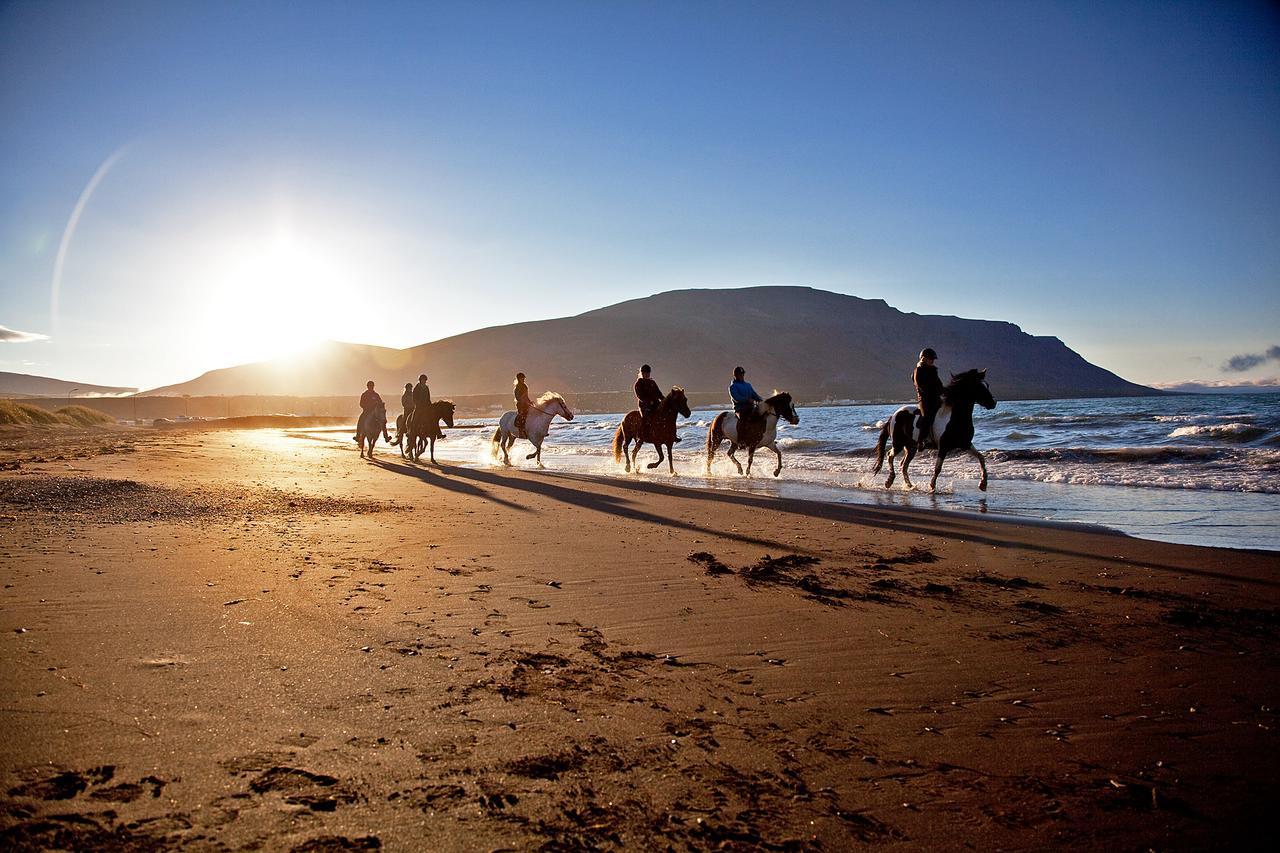 Icelandhorsetours - Helluland Saudarkrokur エクステリア 写真