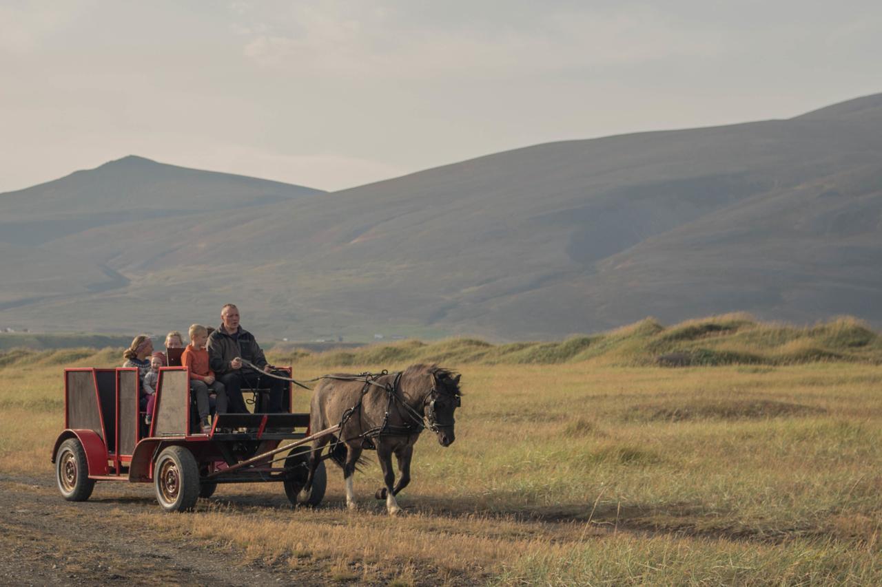 Icelandhorsetours - Helluland Saudarkrokur エクステリア 写真