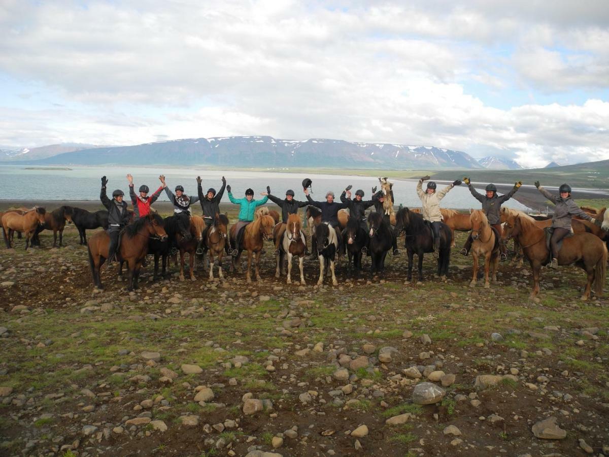 Icelandhorsetours - Helluland Saudarkrokur エクステリア 写真
